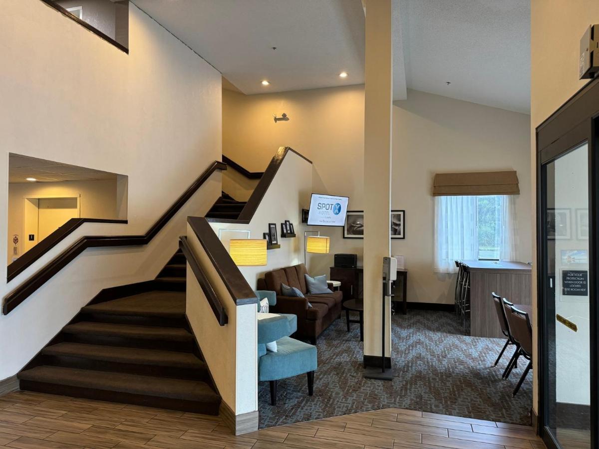 Spot X Hotel Tampa - Wesley Chapel By The Red Collection Eksteriør billede